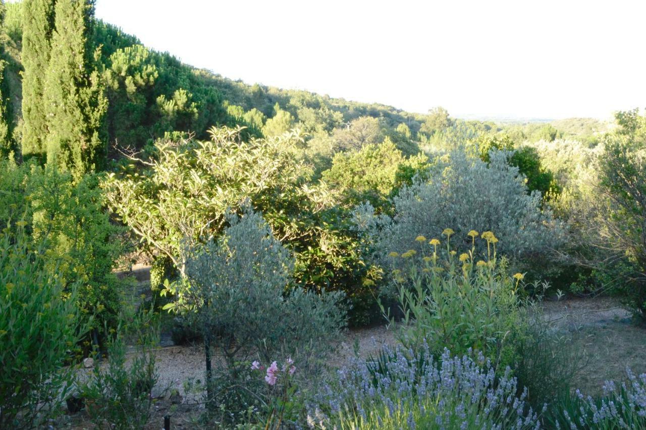 Camélas La Briardiere מראה חיצוני תמונה